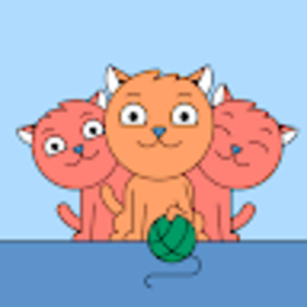 Meet your Posher, Liz